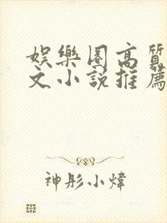 娱乐圈高质量甜文小说推荐