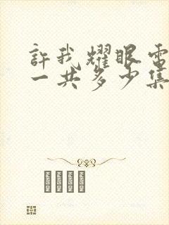 许我耀眼电视剧一共多少集