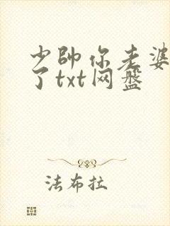 少帅你老婆又跑了txt网盘