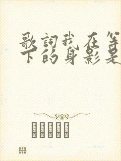 歌词我在等你留下的身影是什么歌