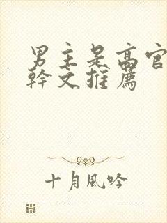 男主是高官的高干文推荐