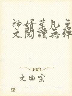神婿叶凡免费全文阅读无弹窗