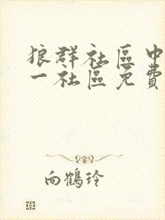 狼群社区中文第一社区免费