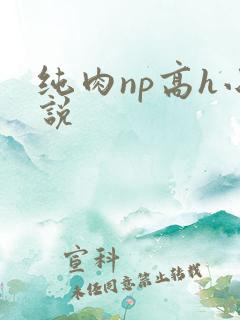 纯肉np高h小说