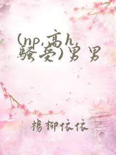 (np,高h,骚受)男男
