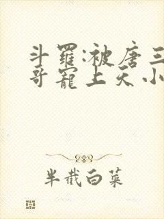 斗罗:被唐三哥哥宠上天小说