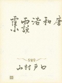 霍雨浩和唐舞桐小说