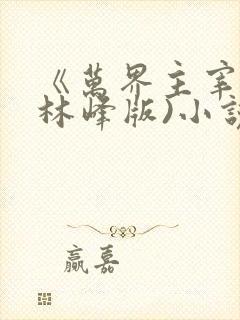 《万界主宰》(林峰版)小说