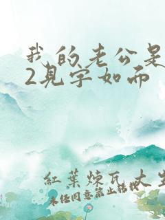 我的老公是冥王2见字如面