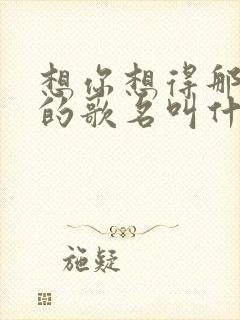 想你想得那么久的歌名叫什么