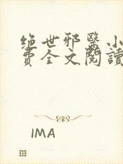 绝世邪医小说免费全文阅读