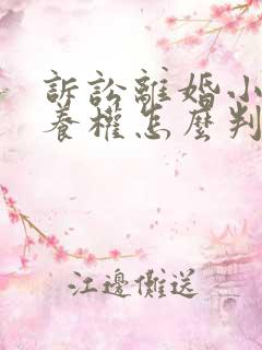 诉讼离婚小孩抚养权怎么判