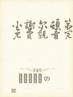 小谢尔顿第六季免费观看完整版电影高清