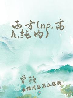 西方(np,高h,纯肉)