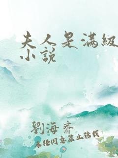 夫人是满级大佬小说