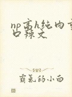 np高h纯肉重口辣文