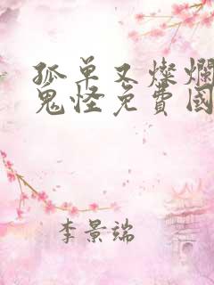 孤单又灿烂的神鬼怪免费国语版