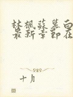 林枫苏慕白小说最新章节在线读