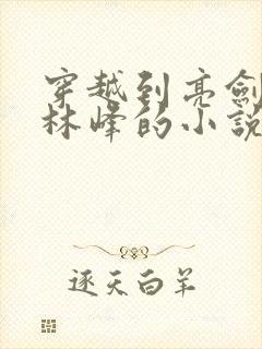 穿越到亮剑主角林峰的小说