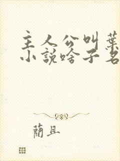 主人公叫叶凡的小说啥子名字