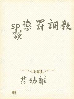 sp惩罚调教小说