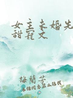 女主未婚先孕的甜宠文