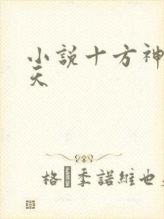 小说十方神王林天