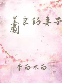 善良的妻子 韩剧