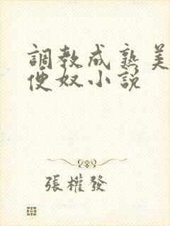 调教成熟美妇肉便奴小说