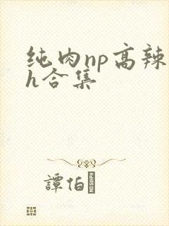 纯肉np高辣文h合集