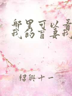 哪里可以看全集我的盲妻我的心短剧