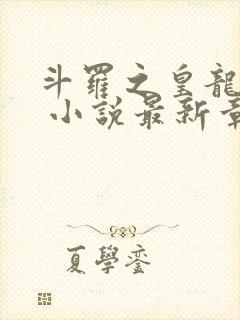 斗罗之皇龙惊世 小说最新章节