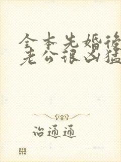 全本先婚后爱:老公很凶猛