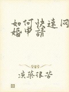 如何快速网上离婚申请