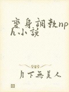 变身调教np高h小说