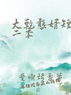 大乾憨婿短剧第二季