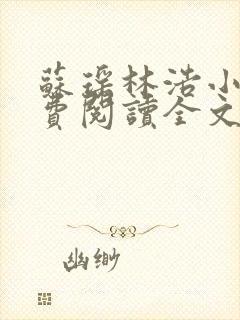 苏瑶林浩小说免费阅读全文最新章节