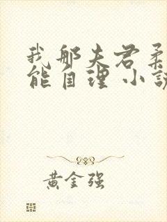 我那夫君柔弱不能自理 小说