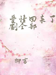 爱情回来了电视剧全部