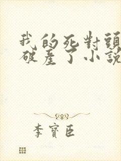 我的死对头终于破产了小说免费阅读