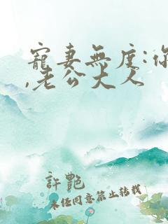 宠妻无度:你好,老公大人