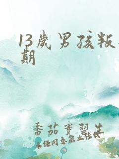 13岁男孩叛逆期