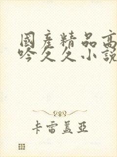 国产精品高潮呻吟久久小说