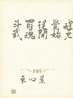 斗罗从觉醒朱雀武魂开始免费阅读