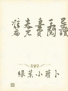 准夫妻王导番外篇免费阅读