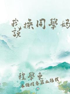 我操同学妈妈小说