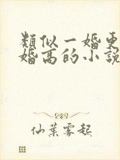 类似一婚更比一婚高的小说