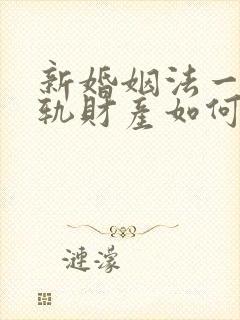 新婚姻法一方出轨财产如何分割