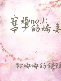 宠婚no.1:帝少的娇妻