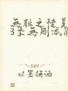 无耻之徒美版第3季无删减版